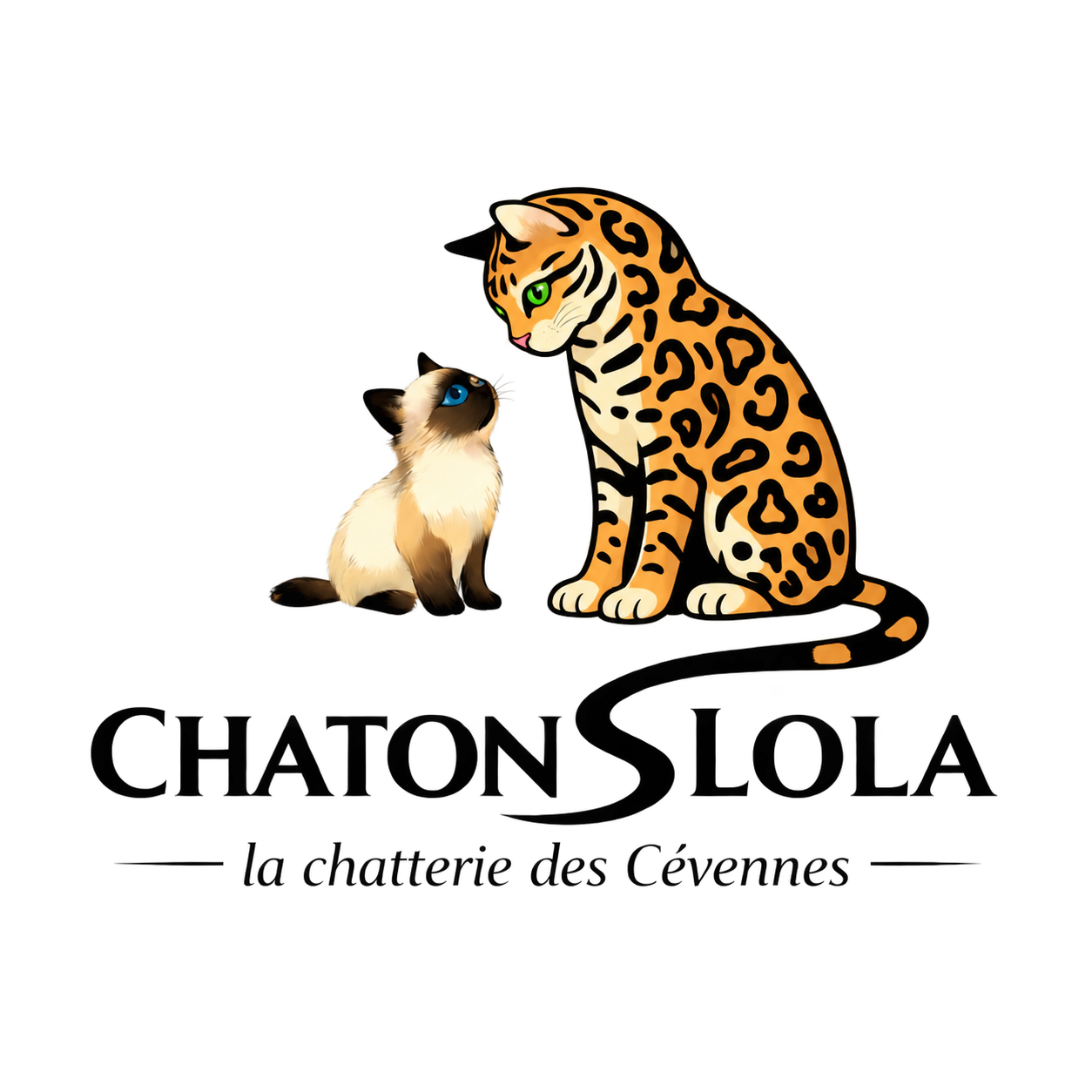 Chatonslola